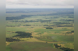 Lost Worlds of South America: The Amazon-Civilization Lost in the Jungle