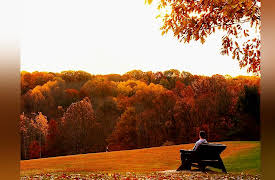 America's 58 National Parks: Cuyahoga