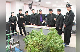 Vs School - Ultimate Hide and Seek: Episode 6