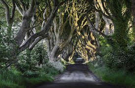 The Art of Storytelling: From Parents to Professionals: Myth and the Hero’s Journey