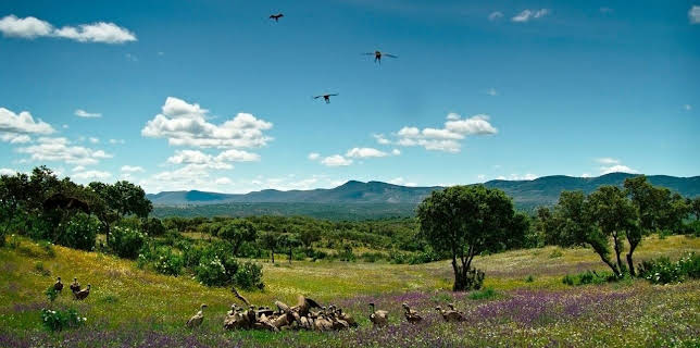 21:00: Portugal - Europas wilder Westen | RBB Fernsehen | 3/8 2026