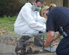 Animal Cops Houston