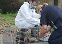 Animal Cops Houston
