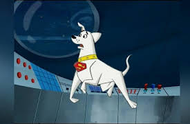 Krypto The Superdog: The Complete First Season: Krypto's Scripto