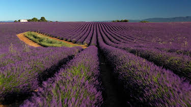 10:45: Traumorte - Die Provence | 3SAT | 6/4 2026