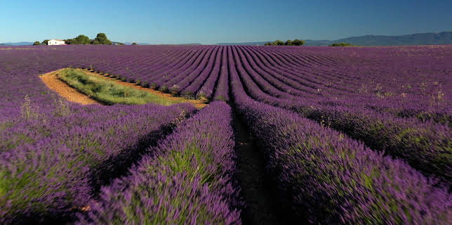 18:15: Traumorte - Die Provence | 3SAT | 1/2 2026