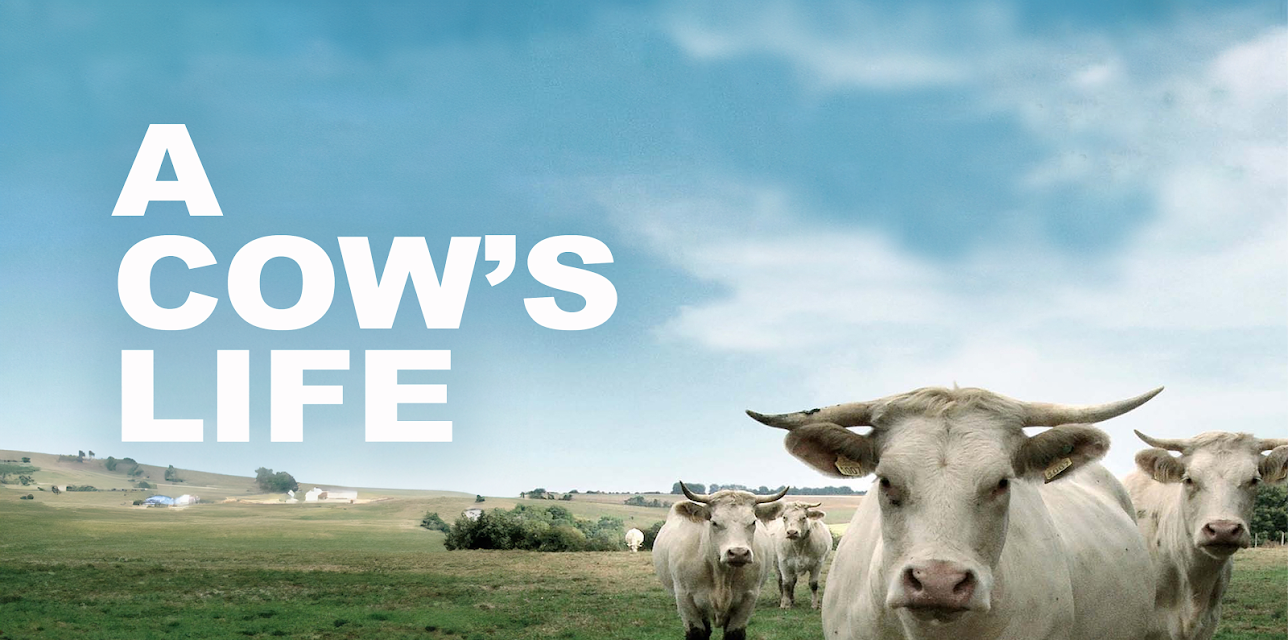 A Cow's Life (Silent) (2014)