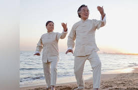 Essentials of Tai Chi and Qigong: The Five Families of Tai Chi Practice
