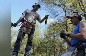 Diggers Season 1: Whiskey Rebellion