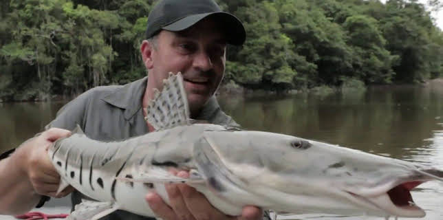 13:40: Chasing Monsters - Monsterfischen auf der Spur | Kabel Eins Doku | 1/2 2026