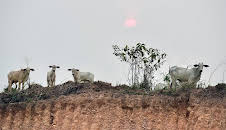 Abenteuer Brasilien - Ein Land wie ein Kontinent