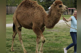 Our Wild Life Season 1: Party Animals