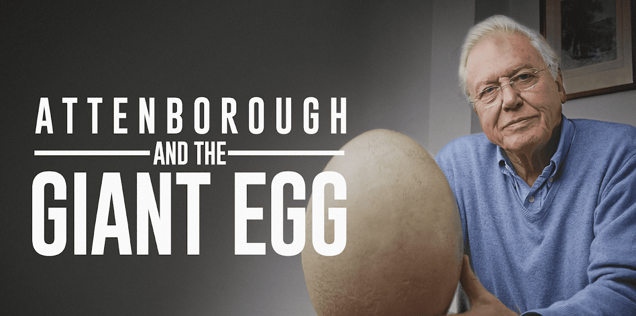 Attenborough and the Giant Egg (2011)