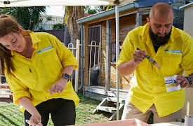 Changing Rooms: Episode 5