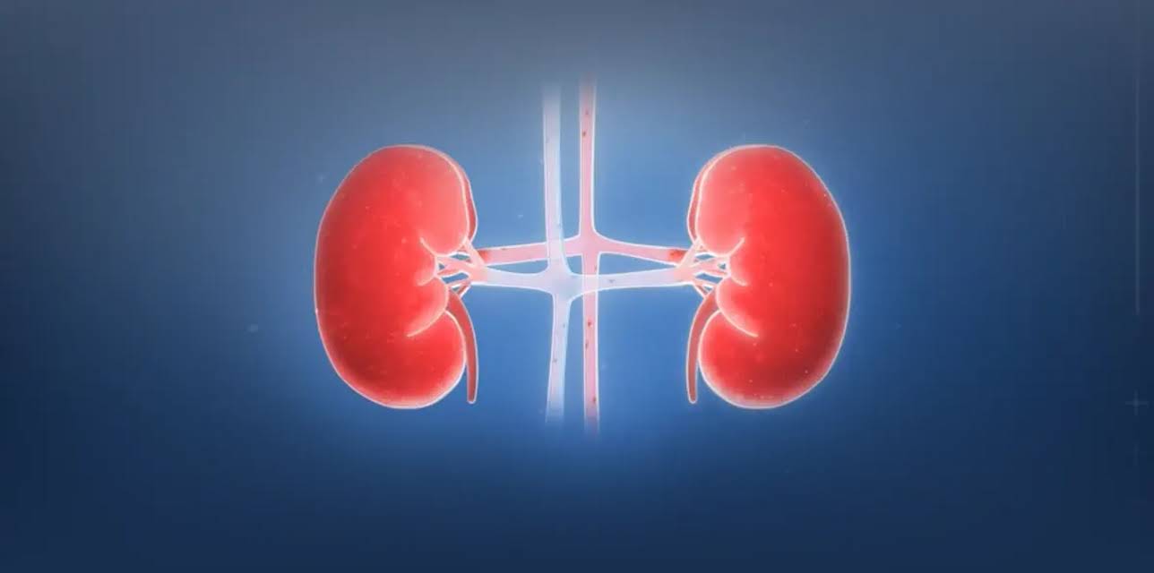 When Machines Prescribe