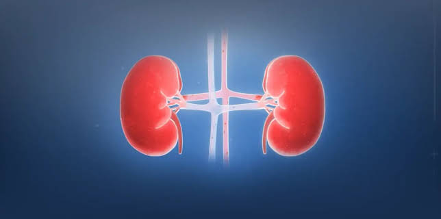 When Machines Prescribe