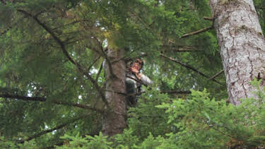 12:00 AM: Expedition Bigfoot (S3) | Discovery Channel | 3/31 2026