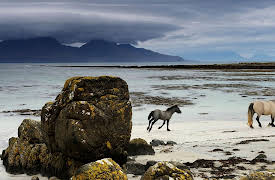 National Geographic Masters of Photography: Exploring Landscapes (Landscape)