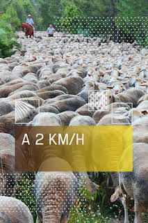19:30: A 2 km/h: El reto | Caza y Pesca | 8/28 2026