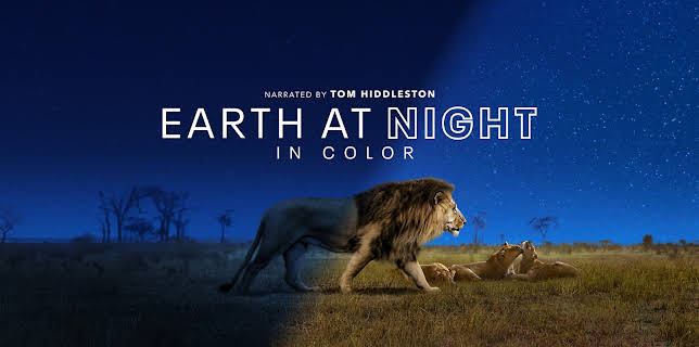 Earth at Night in Color