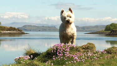 8:30 PM: Garradh Phadruig (S2 E3) (S2) | BBC Alba | 7/14 2026
