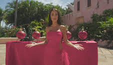 Paradise Hotel (S17 E39)