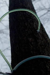 22:30: ¿Cómo lo hacen?: Episodio 17 | Discovery Max | 12/22 2025