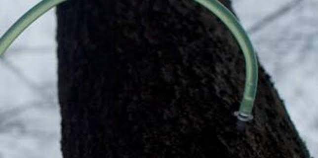 07:30: ¿Cómo lo hacen?: Episodio 17 | Discovery Max | 12/10 2025