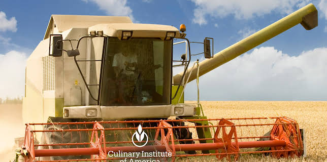 Where Our Food Really Comes From