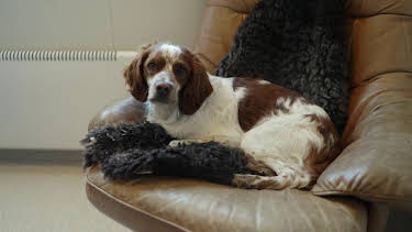 19:00: Högspänning (S6 E9) (S6) | Viasat 4 | 5/3 2026