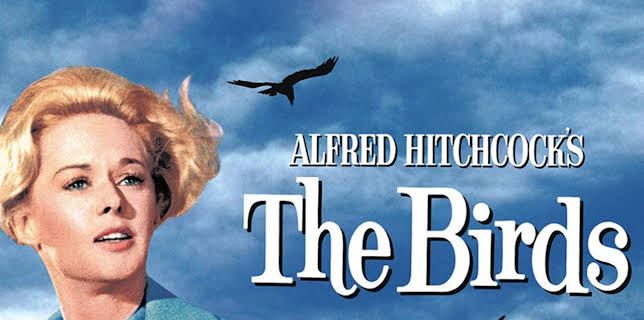 20:15: Die Vögel | Arte | 2/22 2026