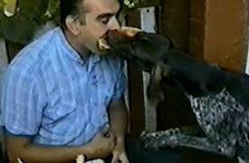 Life's Funniest Moments: Season 1: Episode 215
