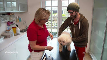 13:00: Die Tierärzte - Retter mit Herz (30) | Das Erste | 4/25 2026