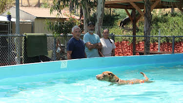 07:45: Cesar Millan: Better Human Better Dog - Bessere Menschen, bessere Hunde | Sixx | 4/12 2026