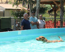 Cesar Millan: Better Human Better Dog - Bessere Menschen, bessere Hunde