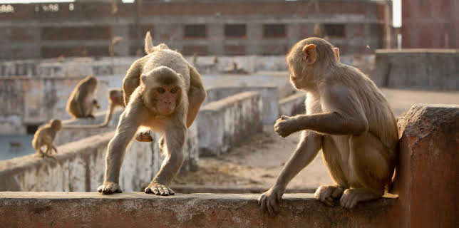 08:00: Eine Erde - viele Welten | ZDFneo | 11/16 2025