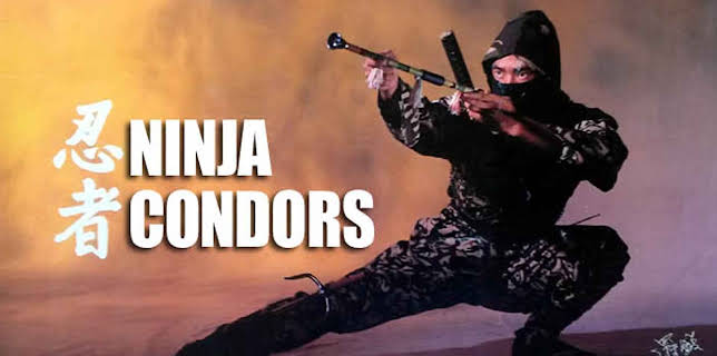 Ninja Condors (1987)