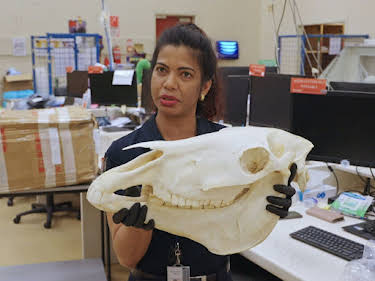 08:20: Border Patrol New Zealand | ProSieben Maxx | 4/30 2026