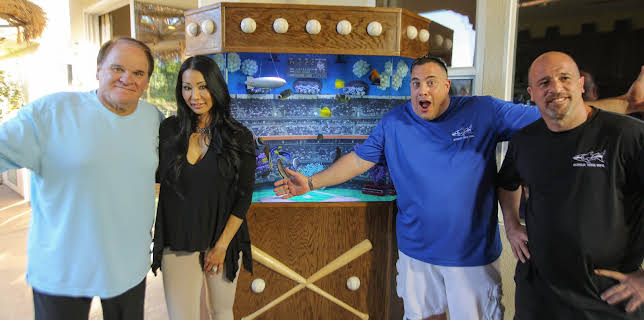 20:00: Akvariedesignerne (S4 E10) (S4) | Animal Planet | 12/28 2025