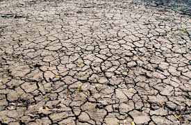 Big History: The Big Bang, Life on Earth, and the Rise of Humanity: Plate Tectonics and the Earth's Geography