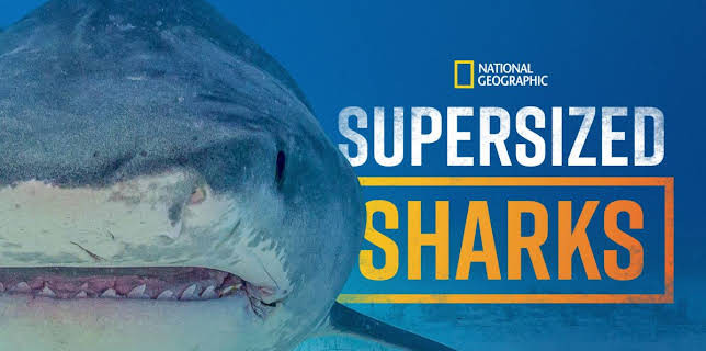Supersized Sharks (2024)