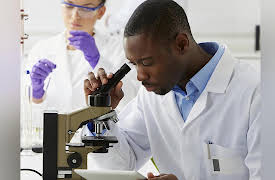 Death, Dying, and the Afterlife: Lessons from World Cultures: The Pursuit of Immortality