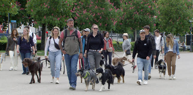 11:55: Auf den Hund gekommen - Der Vorarlberger zweitliebstes Haustier | 3SAT | 3/5 2026