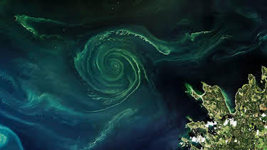 4:15 PM: Earth from Space (S1) | BBC Two | 7/29 2026