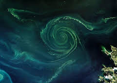 Earth from Space