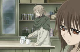 Vampire Knight: The Scarlet Maze