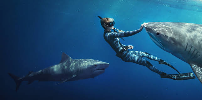 Shark Whisperer (2025)