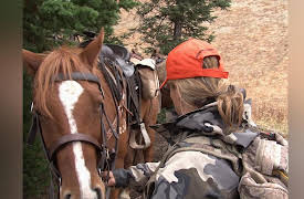 Extreme Outer Limits: Wayword wapiti elk hunt
