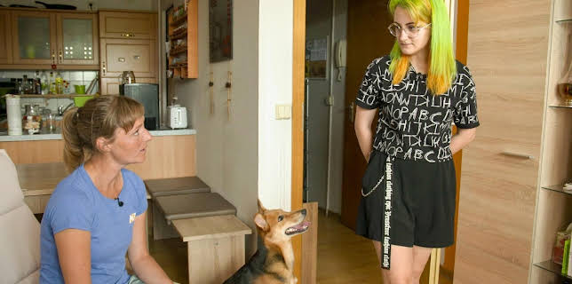 16:50: Der Hundeprofi - Rütters Team | VOX | 3/21 2026