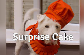 Dog Years: Surprise Cake